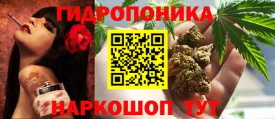 бошки Славгород